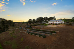 Leda Lodge Airbnb Accommodation